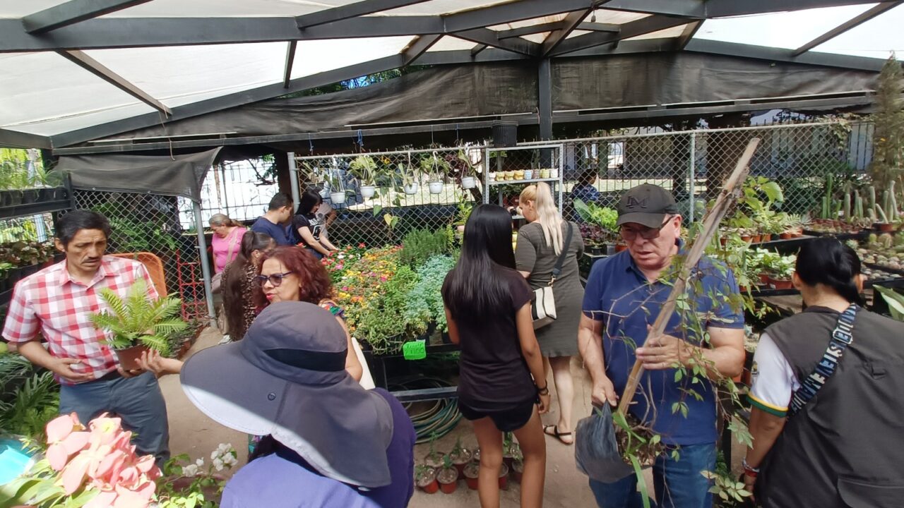 Parque Sinaloa conmemora el Día del Árbol con bazar de plantas
