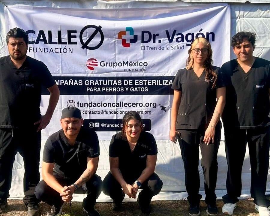 Fundación Calle Cero llevará campaña gratuita de esterilizaciones a El Fuerte