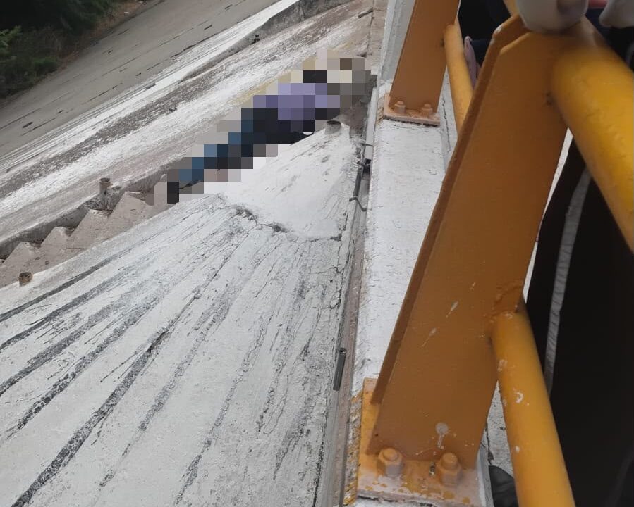 Hombre pierde la vida tras ataque de abejas