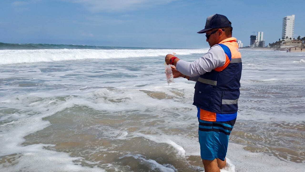 COEPRISS informa que las 22 playas monitoreadas en Sinaloa son aptas para uso recreativo