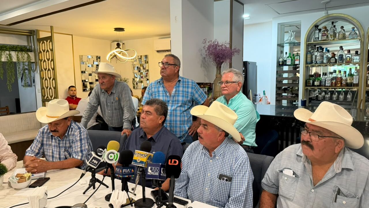Productores de maíz al norte de Sinaloa denuncian complicaciones para acceder a apoyos de gobierno