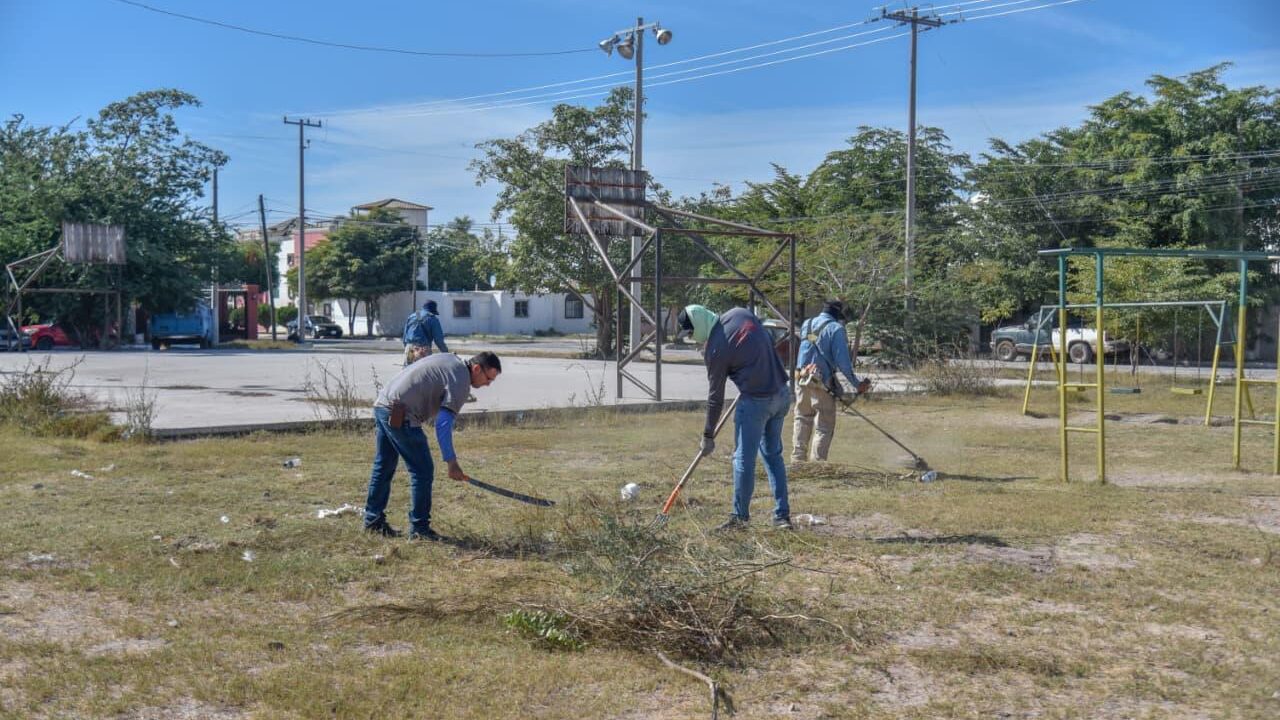 Servicios Públicos ha instalado mil 200 nuevas luminarias este año en la red de alumbrado del Municipio