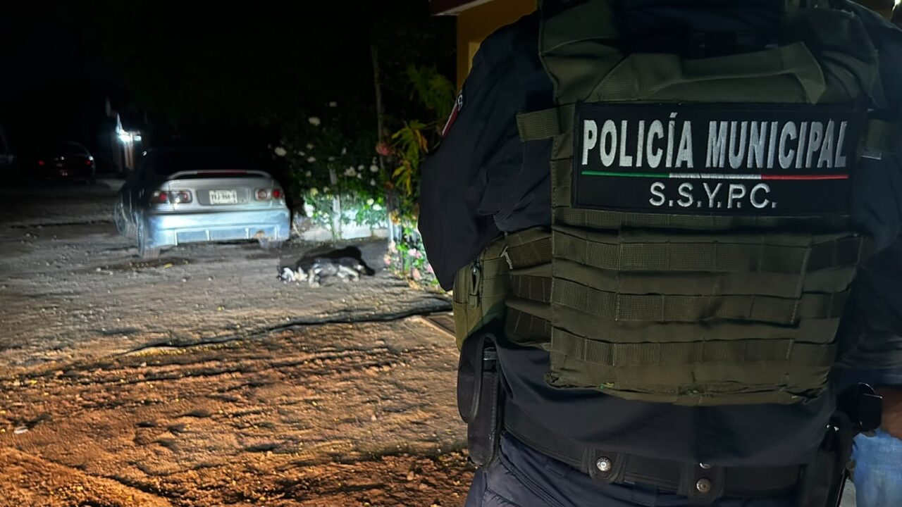 Fiscalía tiene identificado a presunto señalado de matar a un perrito en el Poblado 5