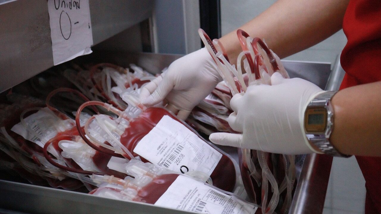 ¡Una gota de humanidad para salvar vidas! Convoca el CIDOCS a la jornada de donación altruista de sangre; ofrecerán chequeo médico gratuito