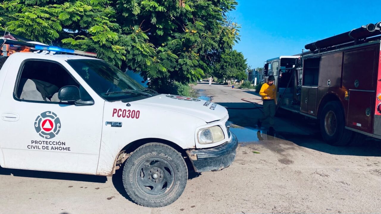 Cuatro personas terminan en el hospital tras ataque de abejas en Los Mochis
