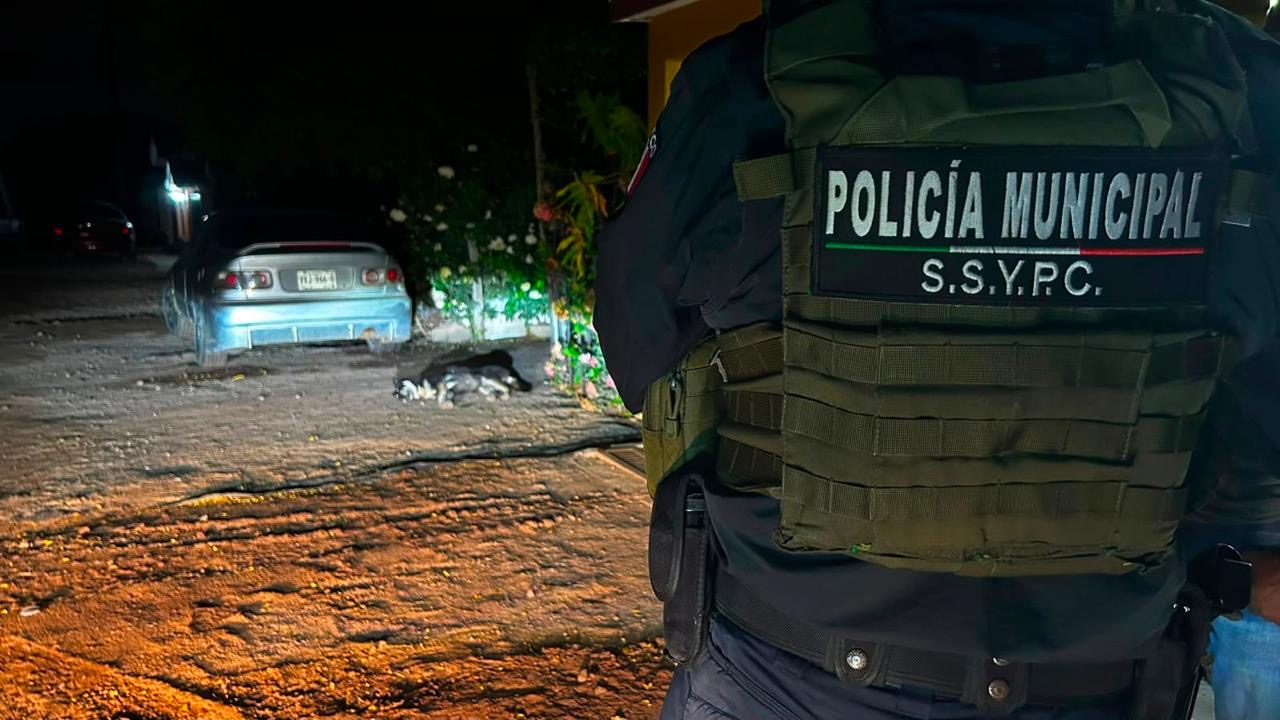Presunto agresor de perros en el Poblado 5 queda libre tras pagar multa de 10 mil pesos
