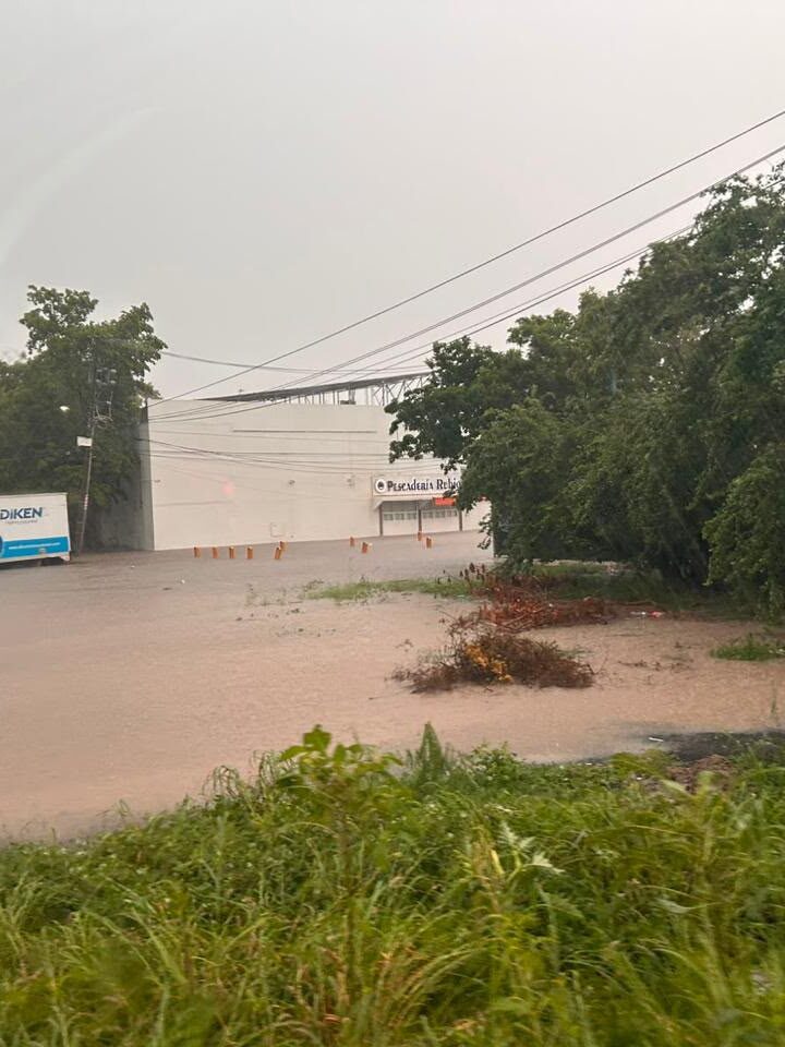 Preliminar: Lluvias movilizan a Protección Civil y rescatan a 25 pasajeros en Culiacán
