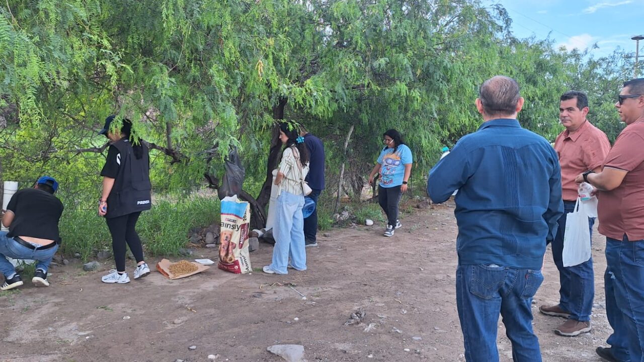 Perritos de El Maviri reciben alimento y agua por iniciativa de periodistas de la OCUS