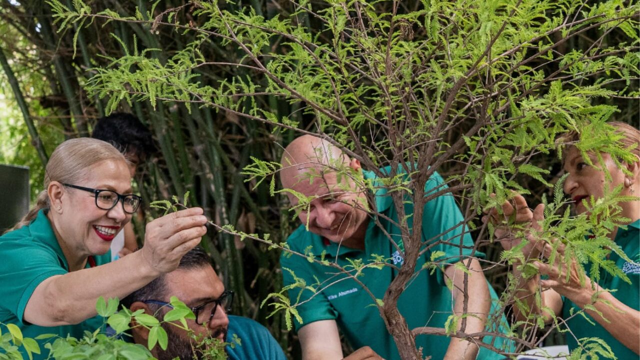 Jardín Botánico Culiacán invita a disfrutar una agenda llena de naturaleza, cultura y experiencias en agosto