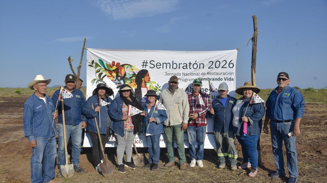 Ahome es sede del inicio simultáneo de ‘Sembrando Vida’, puesto en marcha por la Presidenta Claudia Sheinbaum