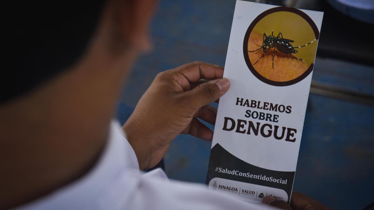 Día Internacional contra el Dengue: Sinaloa suma cerca de 500 casos y Ahome concentra más del 40%