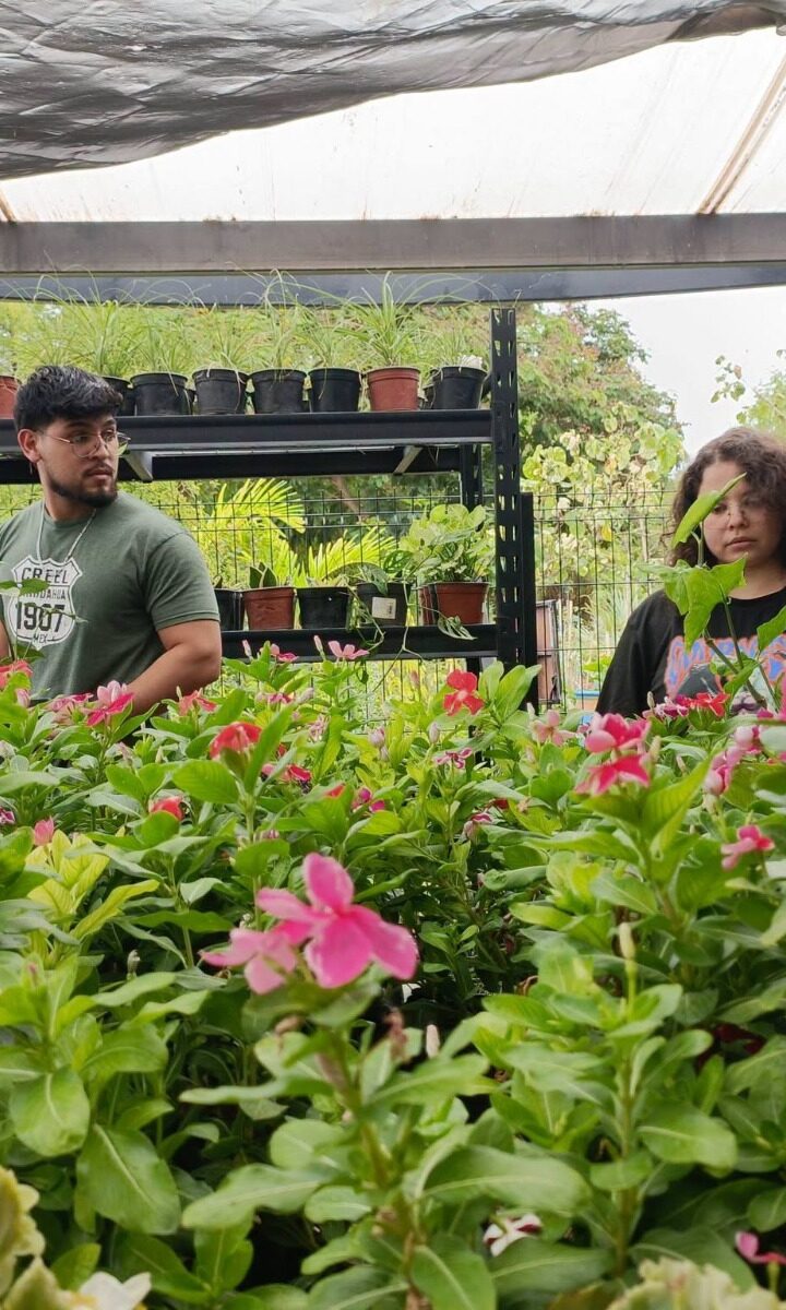 Parque Sinaloa te invita a su tradicional bazar de plantas