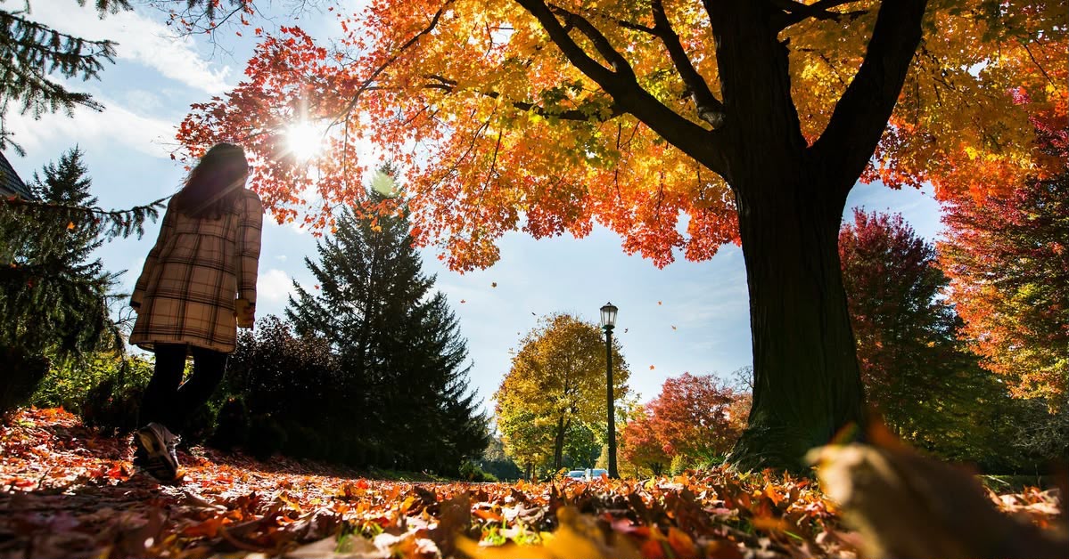 ¡Llega el equinoccio de otoño!, a partir del 22 de septiembre las noches son más largos