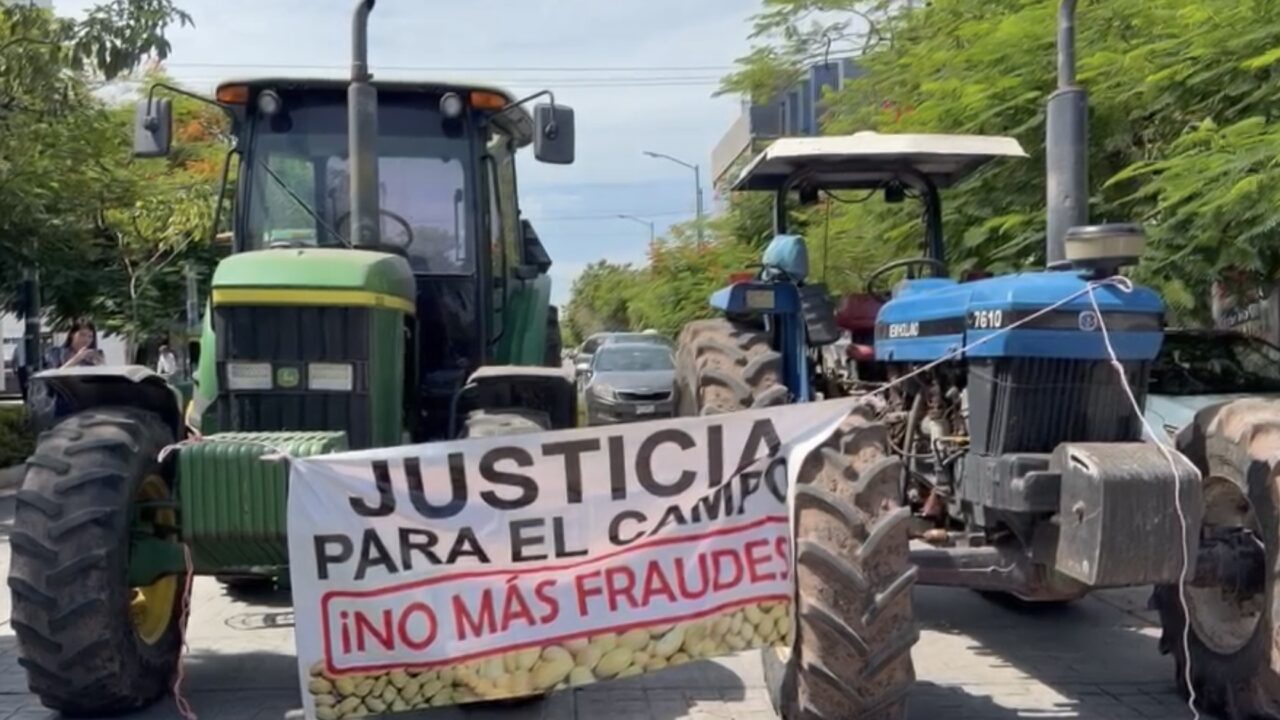 Avanza investigación de presunto fraude de más de 70 mdp de productores de frijol