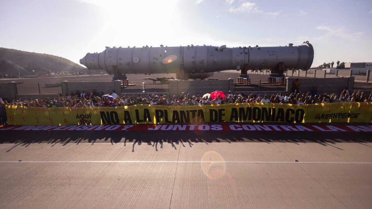Cien días de resistencia: la historia del plantón “Aquí No” en Topolobampo