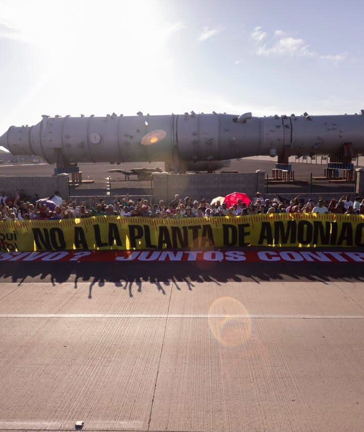 Cien días de resistencia: la historia del plantón “Aquí No” en Topolobampo