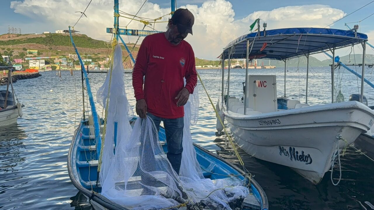 ¡Buena mar! Inicia captura de camarón en costas del Pacífico