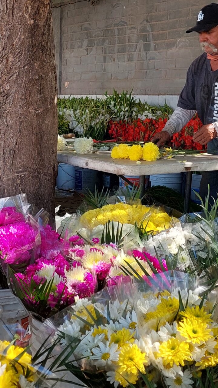 Floristas y autoridades acuerdan mantener precios para este Día de Muertos