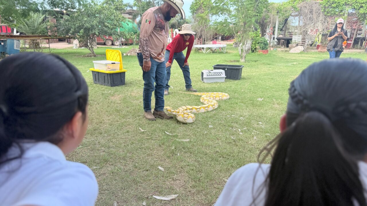 Menores de la Casa Hogar Santa Eduwiges disfrutan de Pet Farm