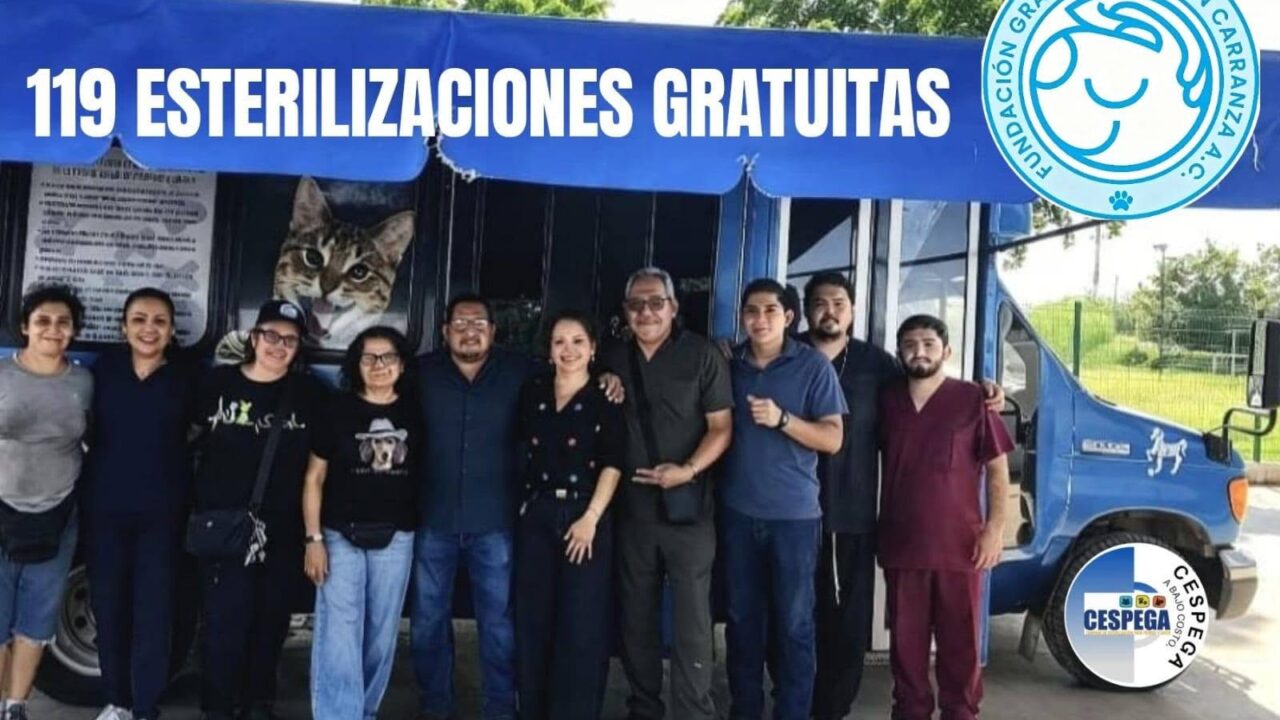 Fundación Graciela Beltrán esteriliza a 119 mascotas gratuitamente