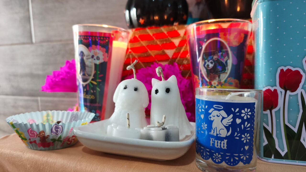 27 de octubre, día para recordar a los peluditos en la ofrenda