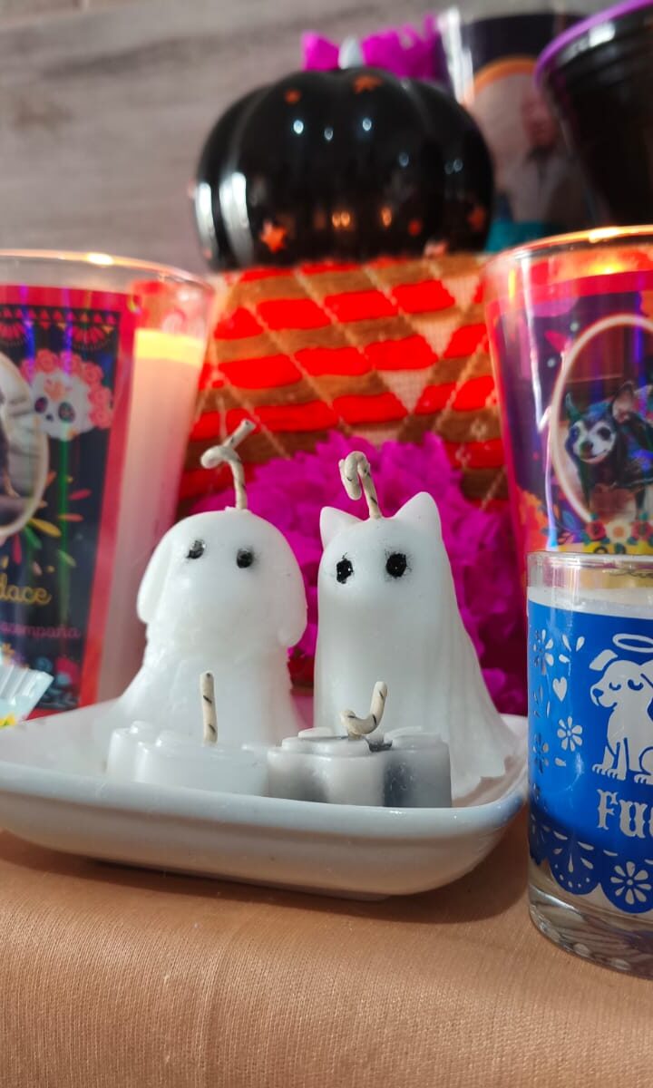 27 de octubre, día para recordar a los peluditos en la ofrenda