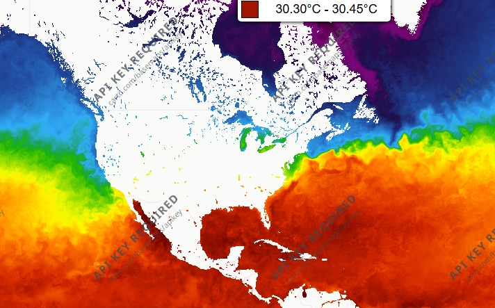 El océano acumula calor récord y el nivel del mar acelera su aumento: nuevo informe de Copernicus
